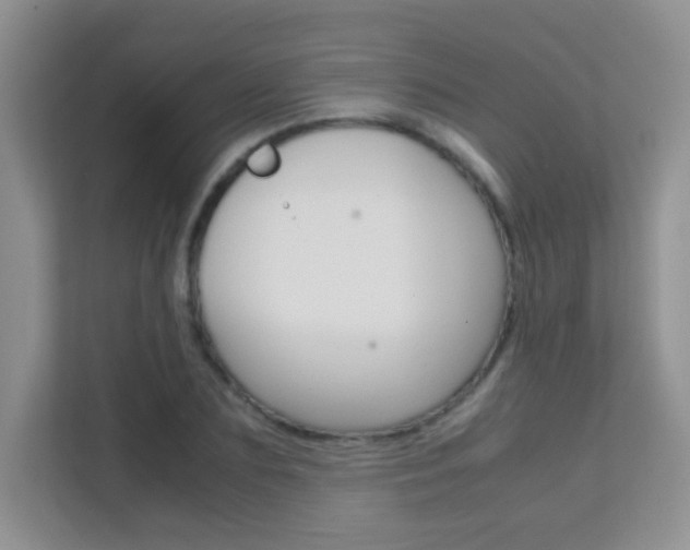 X0000112210883200908071301