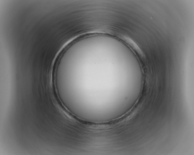 X0000112210884200908071301