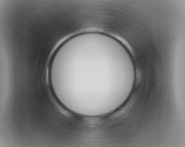 X0000112210886200908071301