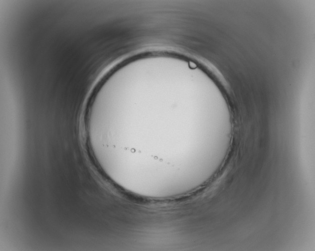 X0000112210887200908071301
