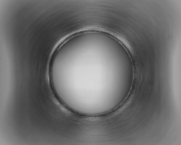 X0000112210888200908071301