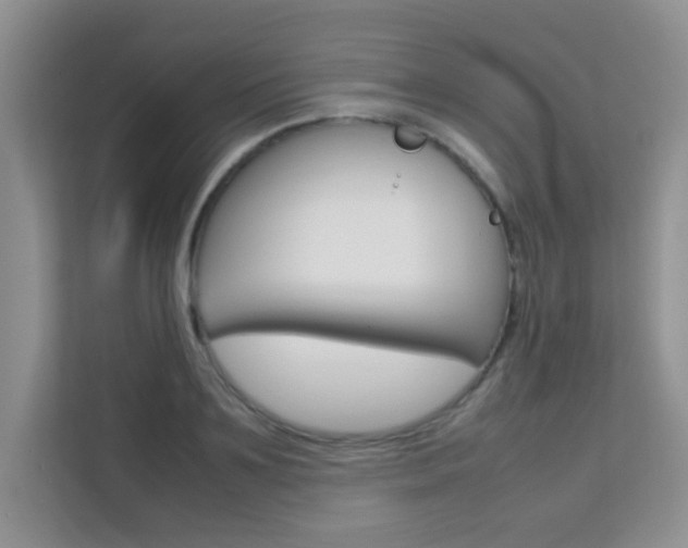 X0000112210891200908071301