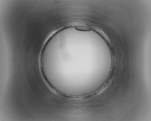 X0000112210893200908071300