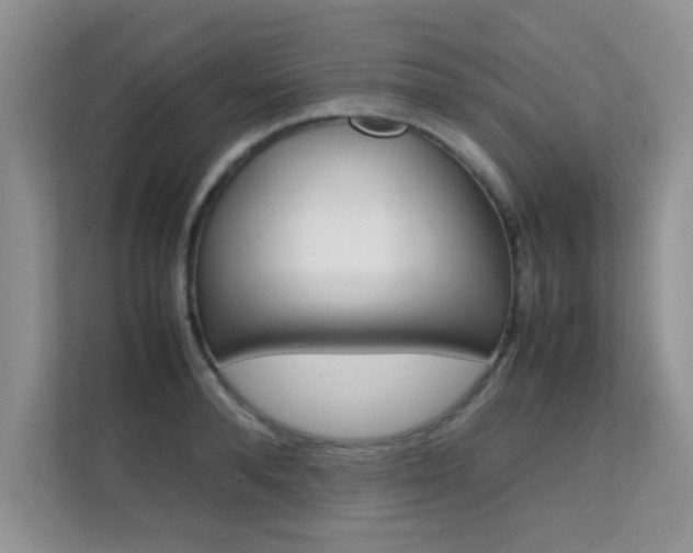 X0000112210896200908071300