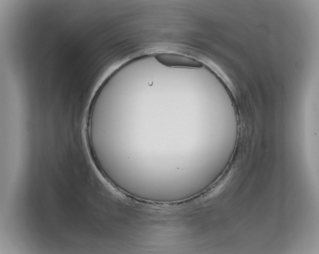 X0000112210901200908071300
