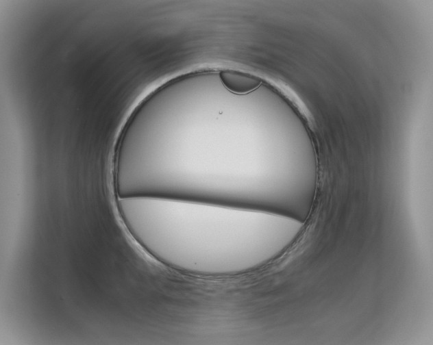X0000112210903200908071300