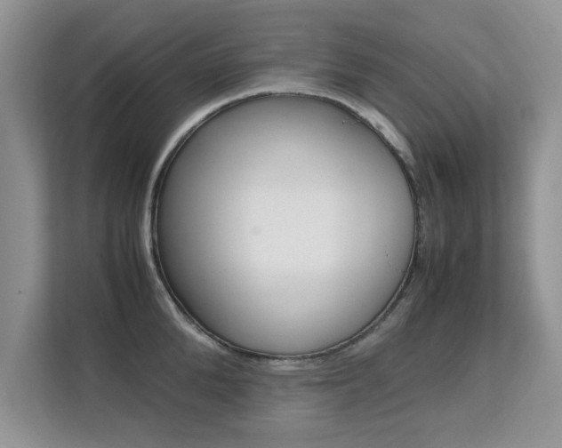X0000112210904200908071300