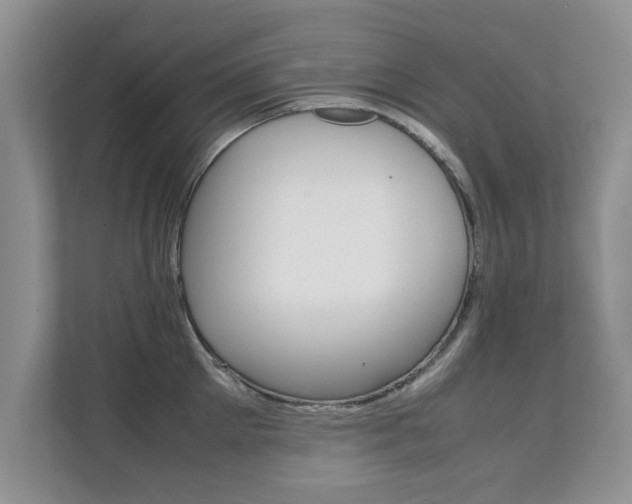 X0000112210905200908071300