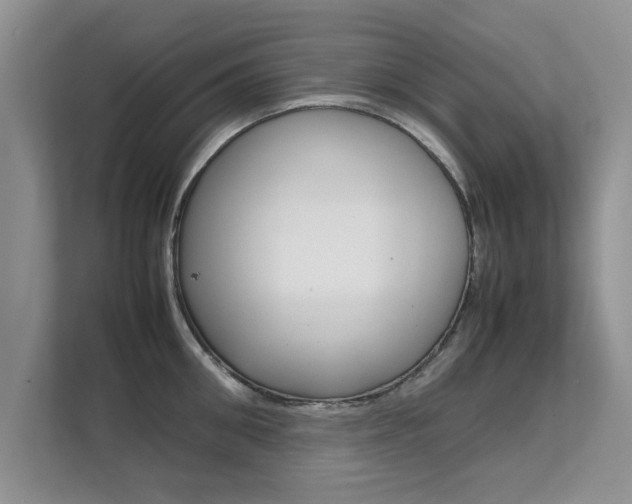 X0000112210906200908071300