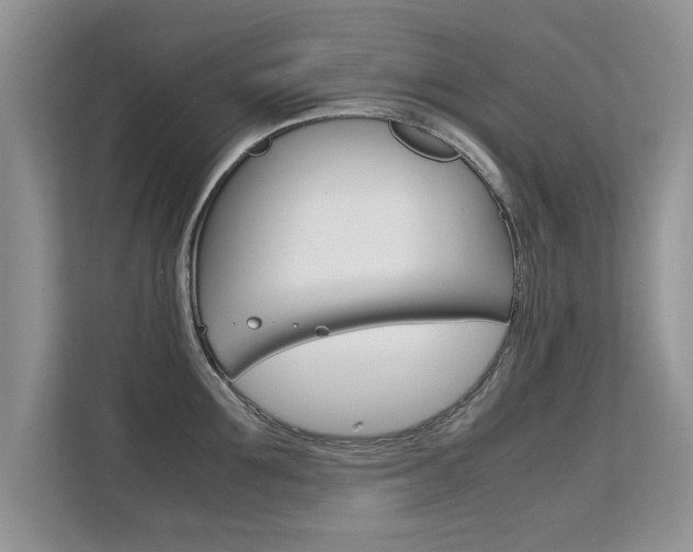 X0000112210907200908071300