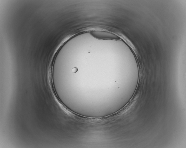 X0000112210909200908071300