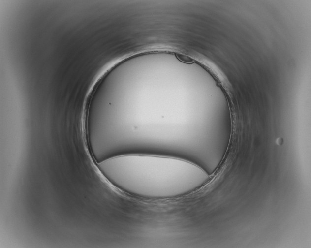 X0000112210910200908071300