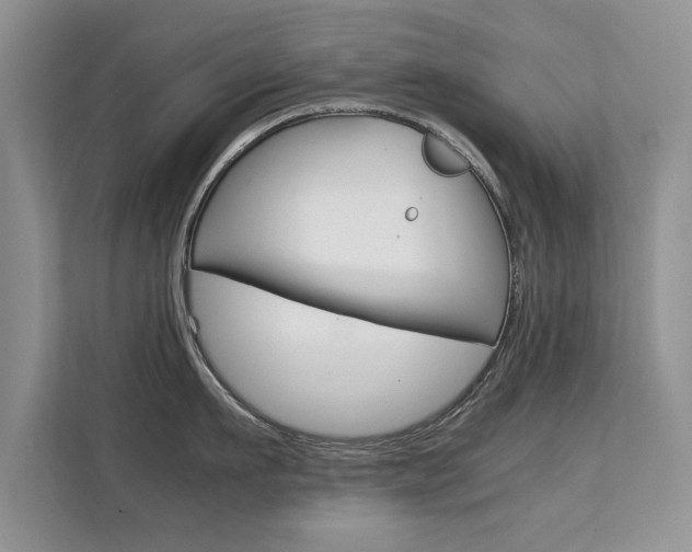 X0000112210911200908071300