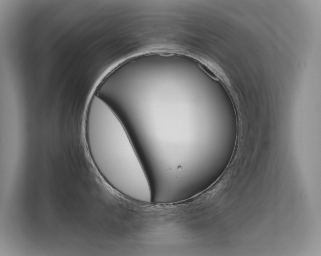 X0000112210912200908071300