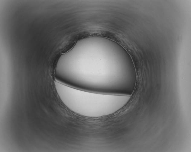 X0000112210916200908071300