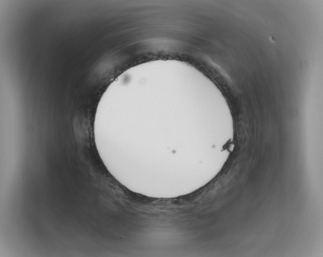 X0000112210918200908071300