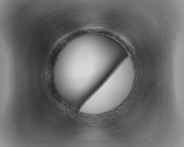 X0000112210920200908071300