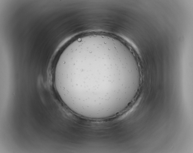 X0000112210925200908071300