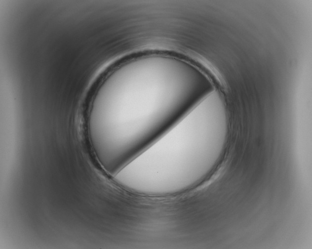X0000112210926200908071300
