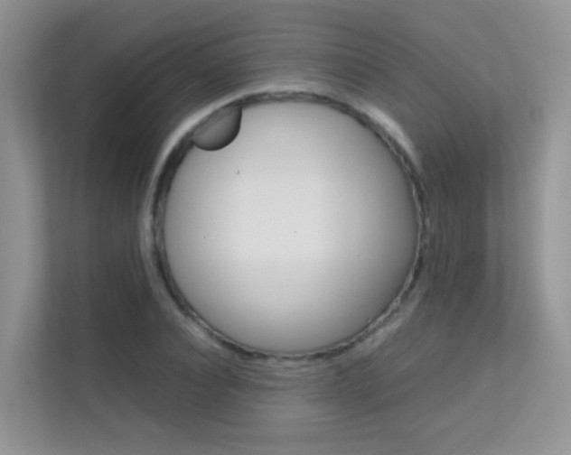 X0000112210928200908071300