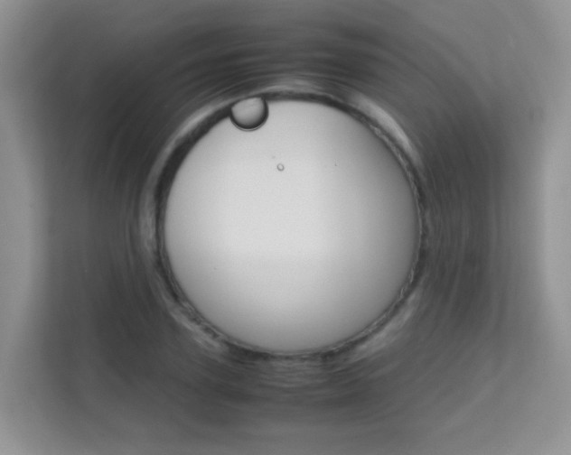 X0000112210931200908071300