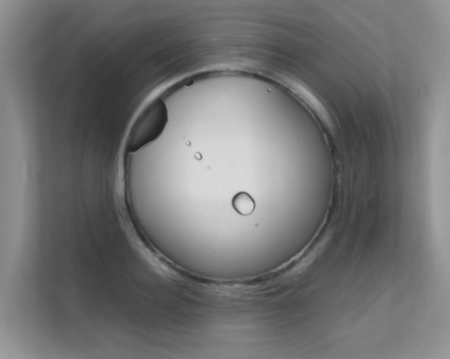 X0000112210940200908071300