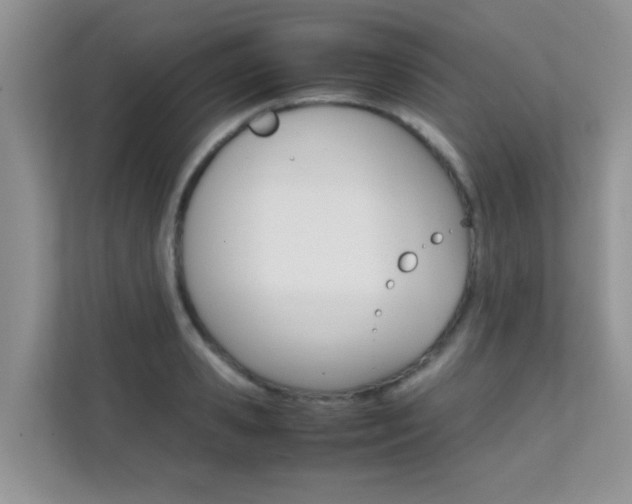 X0000112210941200908071300