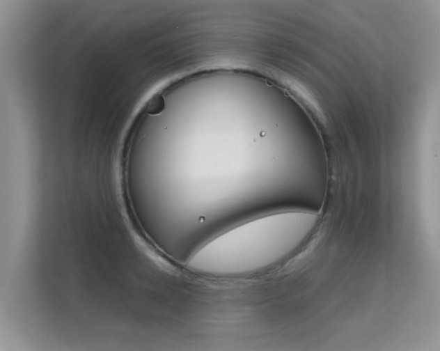 X0000112210942200908071300