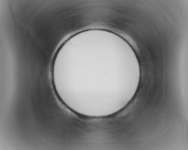 X0000112210950200908071300