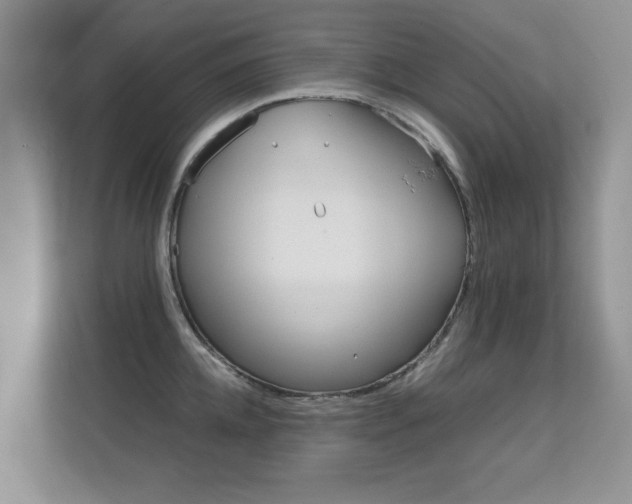 X0000112210952200908071300