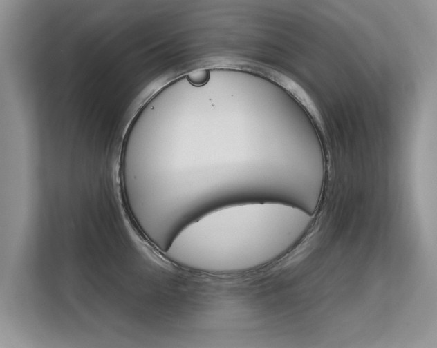 X0000112210954200908071300