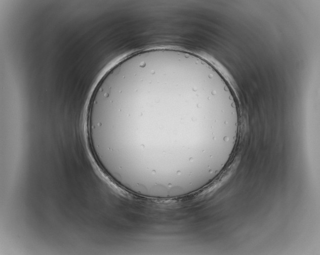X0000112210957200908071300