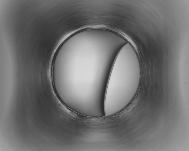 X0000112210959200908071300