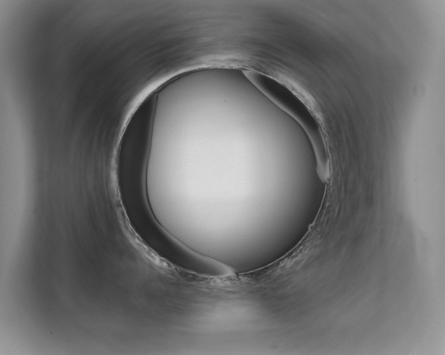 X0000112210960200908071300