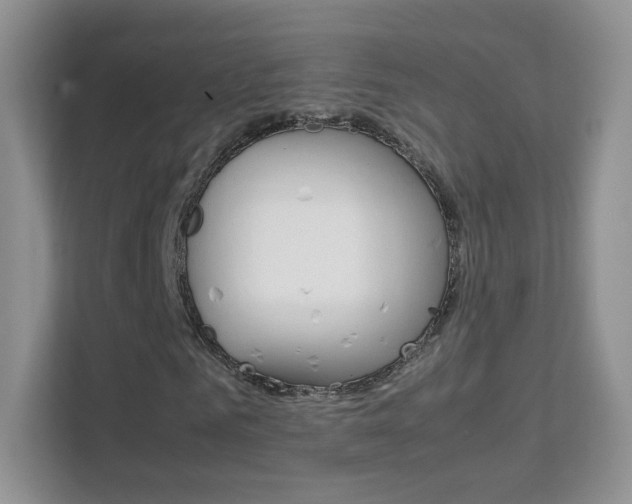 X0000112210961200908071300