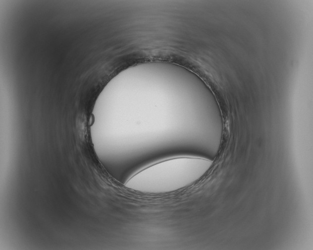 X0000112210963200908071300