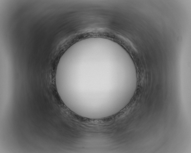 X0000112210966200908071300