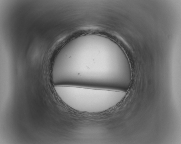 X0000112210967200908071300