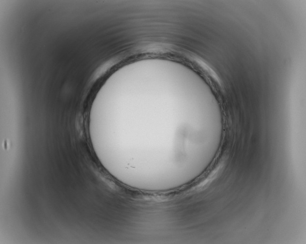 X0000112210970200908071259