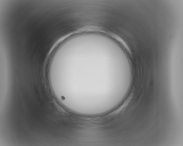 X0000112210973200908071259