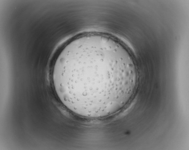 X0000112210974200908071259
