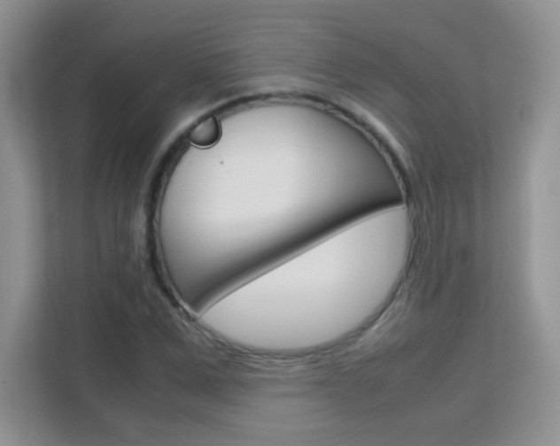 X0000112210975200908071259