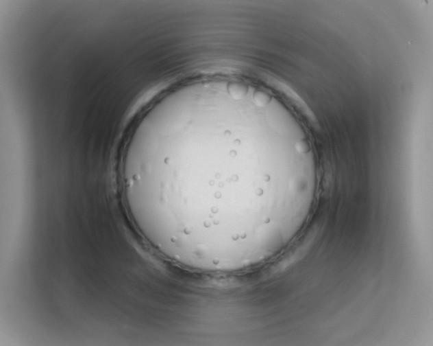X0000112210978200908071259