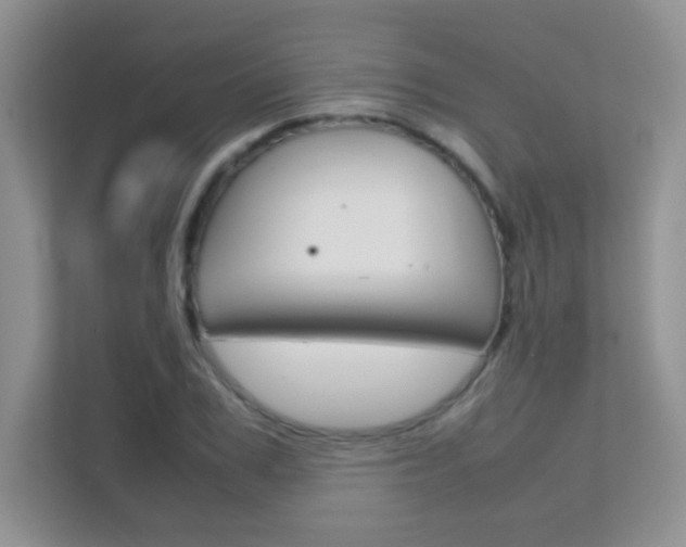 X0000112210979200908071259