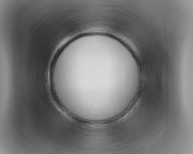 X0000112210982200908071259