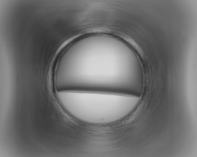 X0000112210983200908071259