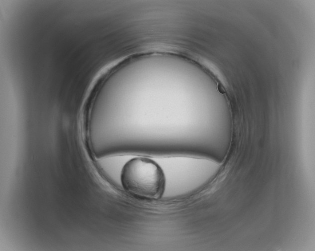 X0000112210987200908071259