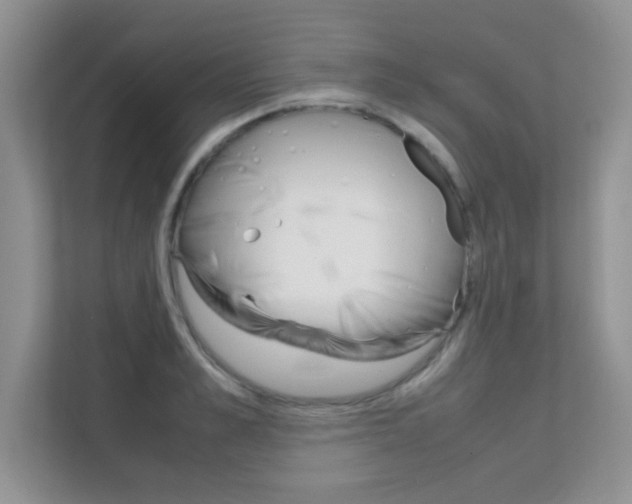 X0000112210989200908071259