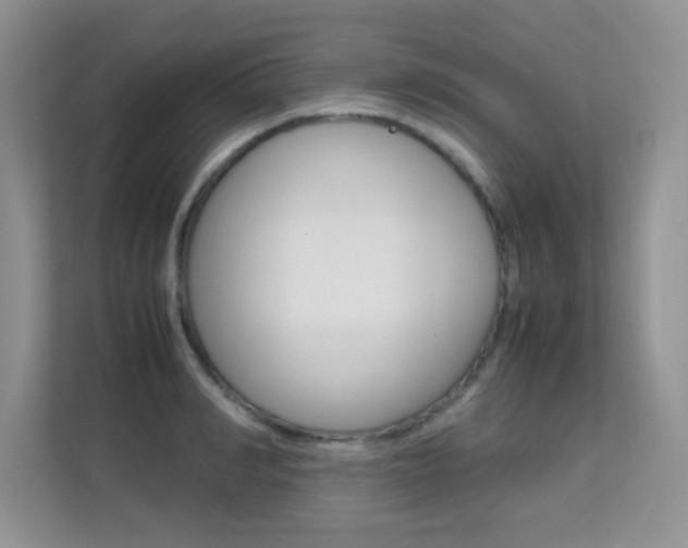 X0000112210990200908071259