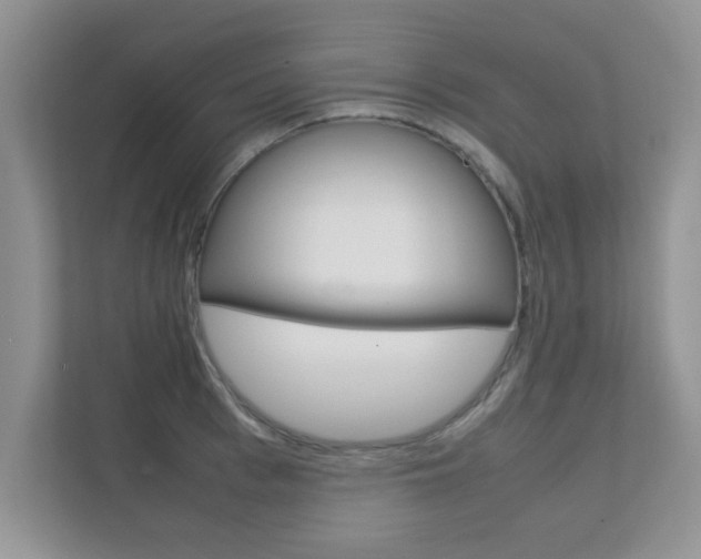 X0000112210993200908071259